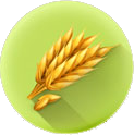 Иконка 10